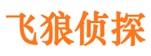 天门市调查公司